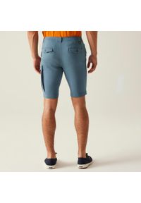 Regatta - Spodenki turystyczne męskie Bendrick. Kolor: szary. Materiał: tkanina, elastan, bawełna. Sport: turystyka piesza #2