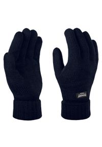 Regatta - Damskie Rękawiczki Robocze Thinsulate. Kolor: niebieski. Technologia: Thinsulate #1