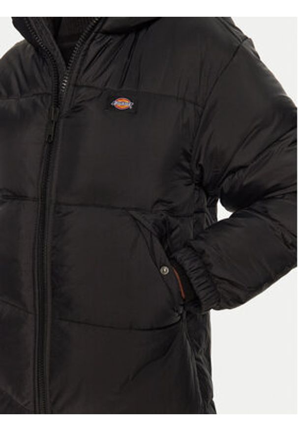 Dickies Kurtka zimowa Alatna DK0A4XR9BLK Czarny Regular Fit. Kolor: czarny. Materiał: syntetyk. Sezon: zima