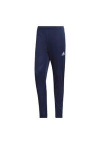 Spodnie treningowe Adidas Entrada 22. Kolor: niebieski. Materiał: materiał. Sport: piłka nożna