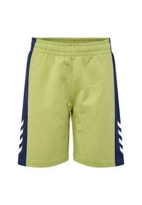 Szorty dziecięce Hummel Rush Block. Okazja: na uczelnię. Kolor: zielony. Styl: sportowy. Sport: joga i pilates