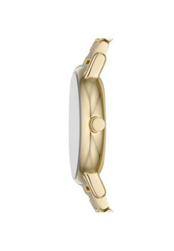 Skagen Zegarek Signatur SKW3124 Złoty. Kolor: złoty