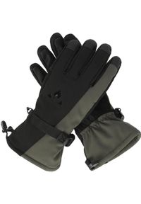 Rękawice narciarskie Whistler Fenwick. Kolor: wielokolorowy, czarny, zielony. Sezon: zima. Sport: narciarstwo #2