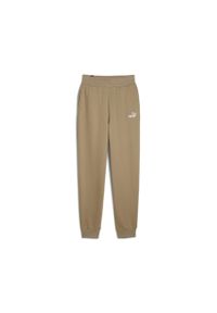 Puma Spodnie Ess+ Embroidery Fl 67000767. Kolor: brązowy
