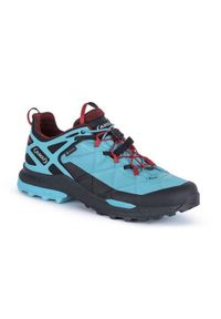 Buty trekkingowe męskie Aku Rocket Dfs Gtx. Kolor: niebieski. Materiał: materiał, tkanina, syntetyk. Szerokość cholewki: normalna