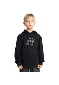 DC Shoes - Bluza z kapturem dla Chłopcy PALLET PH Czarny. Typ kołnierza: kaptur. Kolor: brązowy, zielony, wielokolorowy. Materiał: tkanina, poliester, bawełna. Sport: skateboard