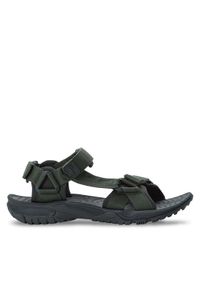 Jack Wolfskin Sandały Lakewood Ride Sandal M 4019021 Khaki. Kolor: brązowy. Materiał: materiał #1