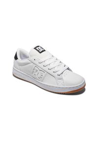DC Shoes - Buty do chodzenia męskie Dc Shoes Striker. Kolor: biały. Materiał: skóra, guma, tkanina. Szerokość cholewki: normalna. Sport: turystyka piesza #1