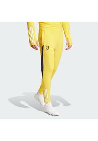 Spodnie do piłki nożnej męskie Adidas Juventus Tiro 23 Training Pants. Kolor: żółty. Materiał: dresówka, materiał, poliester