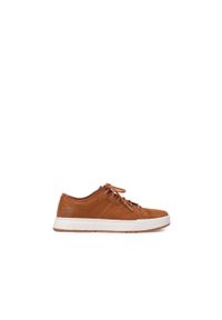 Buty męskie Timberland Maple Grove Low Lace. Kolor: brązowy
