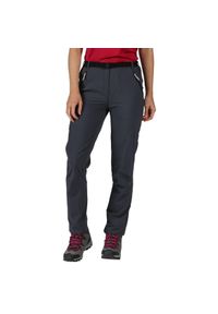 Regatta - Spodnie trekkingowe damskie Xert Stretch. Kolor: szary, niebieski, wielokolorowy. Materiał: materiał. Sezon: lato. Sport: turystyka piesza #1