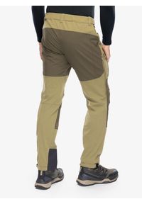 Spodnie trekkingowe męskie Helly Hansen Verglas Tur Pant 2.0. Kolor: zielony