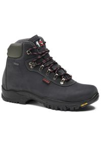 Buty trekkingowe damskie Chiruca Gredos Supra 05. Kolor: szary