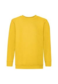 FRUIT OF THE LOOM - Bluza Dziecięca Premium W Komplecie. Kolor: żółty, pomarańczowy, wielokolorowy