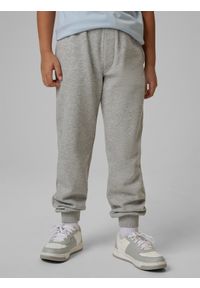 4f - 4F Spodnie dresowe joggery chłopięce - szare 140 (9-10 lat). Okazja: na co dzień. Kolor: szary. Materiał: dresówka. Sezon: lato. Styl: casual, sportowy #2