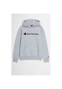 Bluzy sportowa męska Champion Big Logo Print. Typ kołnierza: kaptur. Kolor: szary. Wzór: nadruk