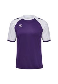 Koszulka Hummel League. Kolor: fioletowy, biały, wielokolorowy. Sport: piłka nożna #1