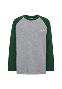Dziecięca koszulka z długim rękawem Hummel Bee Loose. Kolor: zielony. Długość rękawa: długi rękaw. Długość: długie #2