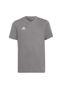 Adidas - Koszulka piłkarska dla dzieci adidas Entrada 22 Tee. Kolor: szary. Sport: piłka nożna