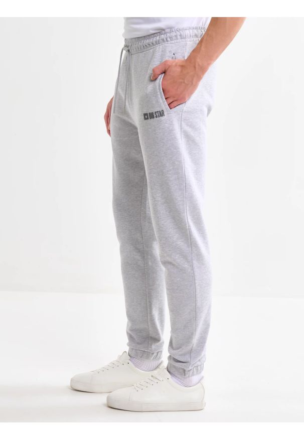 Big-Star - Spodnie męskie dresowe szare Brutus 901. Kolekcja: plus size. Kolor: szary. Materiał: dresówka. Wzór: aplikacja, nadruk