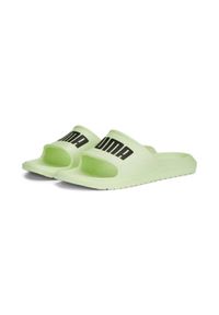 Klapki na basen damskie Puma Divecat V2 Lite klapki Zielone( (374823-19). Zapięcie: pasek. Kolor: zielony. Styl: elegancki