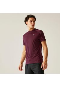 DARE 2B - Koszulka Accelerate Mens Active. Kolor: zielony, wielokolorowy, fioletowy. Sport: turystyka piesza #1