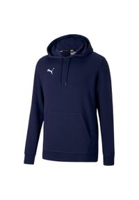 Bluza treningowa męska Puma teamGOAL 23 Causals Hoody. Kolor: niebieski. Sport: fitness #1