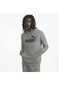 Bluza treningowa męska Puma Ess Big Logo Hoodie. Typ kołnierza: kaptur. Kolor: wielokolorowy, szary, czarny