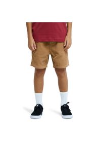 Quiksilver - Spodenki z elastyczną talią dla Chłopcy TAXER Brązowy. Kolor: brązowy. Materiał: bawełna, tkanina. Długość: krótkie. Sezon: lato #1
