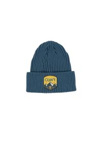 Czapka zimowa Colourwear Bonk Badge. Kolor: zielony. Sezon: zima. Styl: sportowy #1