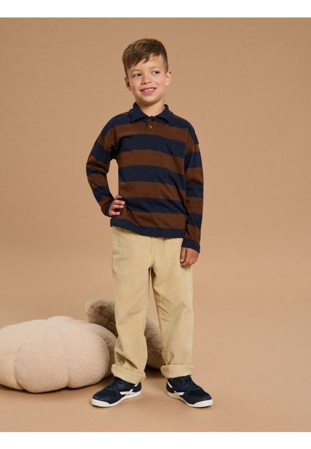 Sinsay - Koszulka polo z długimi rękawami - wielobarwny. Typ kołnierza: polo. Długość rękawa: długi rękaw. Długość: długie