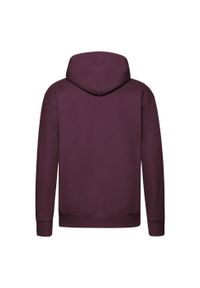 FRUIT OF THE LOOM - Męska Bluza Z Kapturem Premium. Typ kołnierza: kaptur. Kolor: czerwony, wielokolorowy, brązowy