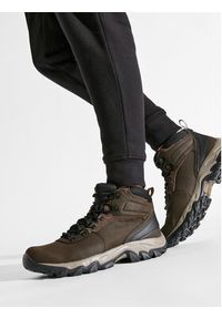 columbia - Columbia Trekkingi Newton Ridge Plus II Waterproof BM3970 Brązowy. Kolor: brązowy. Materiał: skóra. Sport: turystyka piesza #3
