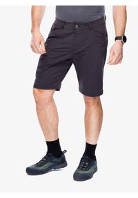 Spodnie turystyczne męskie Helly Hansen Elv Light Zip Off Pant. Kolor: szary