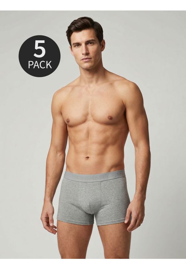 Sinsay - Bokserki 5 pack - wielobarwny