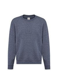 FRUIT OF THE LOOM - Sportowa Bluza Dziecięca Zwykła. Kolor: niebieski. Wzór: nadruk