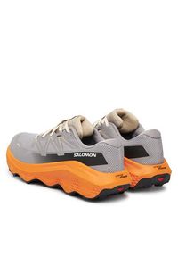 salomon - Salomon Buty do biegania Ultra Flow 2 Gore-Tex L47884200 Szary. Kolor: szary. Materiał: materiał. Technologia: Gore-Tex #5