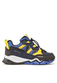 Sneakersy Geox. Kolor: niebieski
