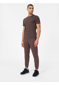 4f - Spodnie dresowe joggery męskie. Kolor: brązowy. Materiał: dresówka. Wzór: gładki