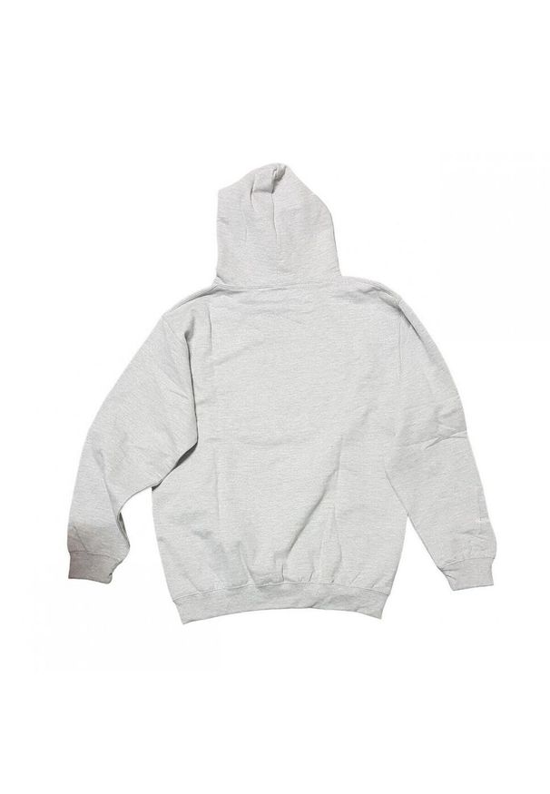 Bluza sportowa męska Mitchell & Ness HDSSINTL1052GBPGREY. Typ kołnierza: kaptur. Kolor: szary