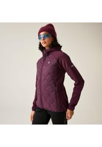 DARE 2B - Damska Torrek Flexy Hybrid Trwała, lekka kurtka. Kolor: fioletowy. Materiał: tkanina, puch. Sport: turystyka piesza #1