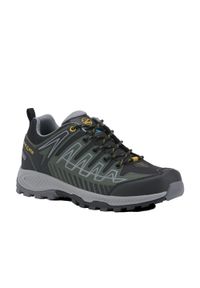 Buty trekkingowe męskie TREZETA Thunder z membraną WP. Kolor: zielony