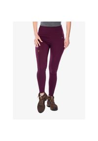 Fjällräven - Legginsy damskie Fjallraven Abisko Tights. Kolor: fioletowy
