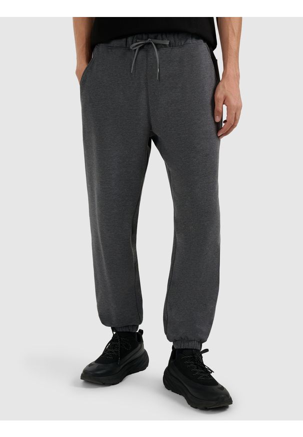 4f - 4F Spodnie dresowe joggery męskie - szare L. Kolor: szary. Materiał: dresówka