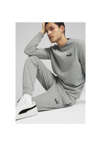 Puma - Męskie spodnie Essentials z logo No. 1 z dżerseju PUMA Medium Gray Heather. Kolor: szary. Materiał: jersey