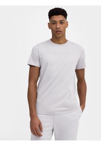 4f - T-shirt regular z nadrukiem męski. Kolor: szary. Materiał: bawełna. Wzór: nadruk #1