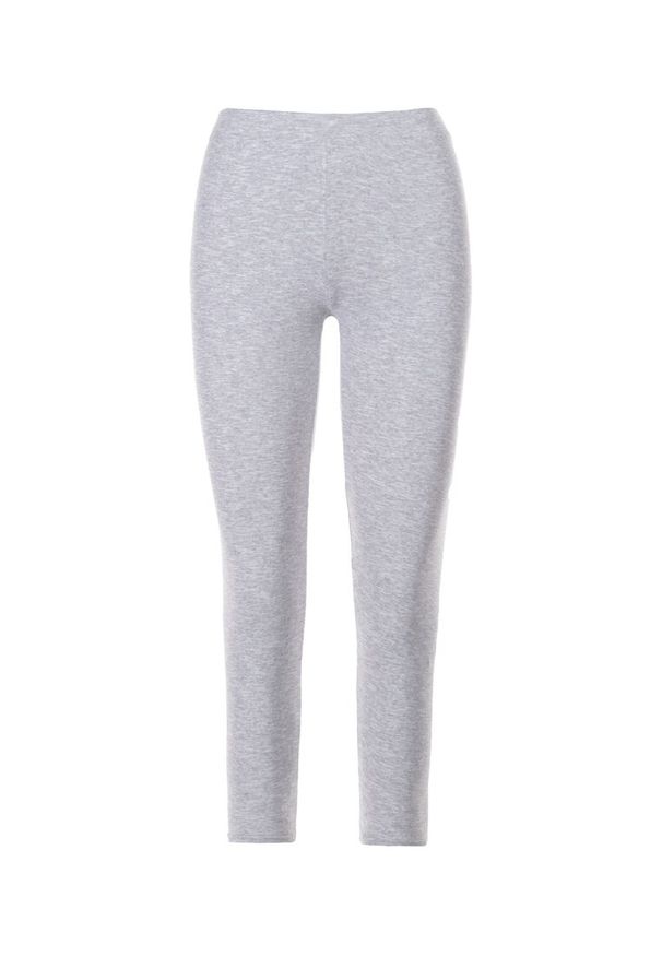 Born2be - Jasnoszare Legginsy Pyreriver. Kolor: szary. Materiał: dzianina. Długość: długie. Wzór: gładki