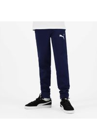Spodnie dresowe dla dzieci Puma. Kolor: niebieski. Materiał: dresówka