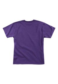 Mitchell & Ness - Koszulka Los Angeles Lakers NBA Taco Truck. Kolor: fioletowy #2