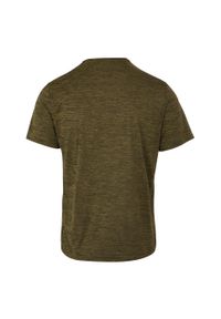 Regatta - T-shirt Męski Melanżowy Fingal Edition. Kolor: zielony. Wzór: melanż
